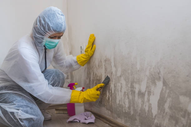 Best Industrial Mold Remediation  in Lithonia, GA