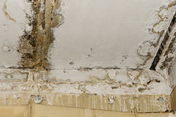 Best Water Damage & Mold Remediation  in Lithonia, GA